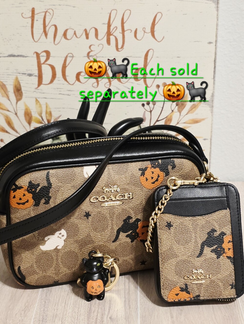 Coach Halloween Black Cat with Pumpkin Keychain Charm for Bag Purse CW480 🐈‍⬛🎃 - Picture 5 of 12
